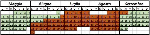 planner tartaruga